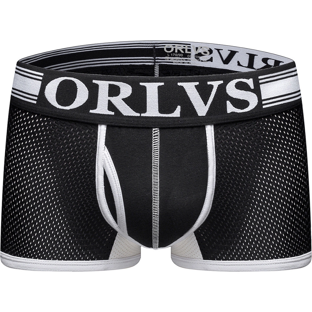 Breathable mesh men's boxer briefs men's 3 color shorts