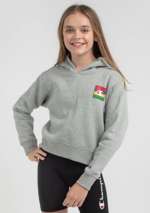 Champion Kids’ SPS Graphic Crop Hoodie