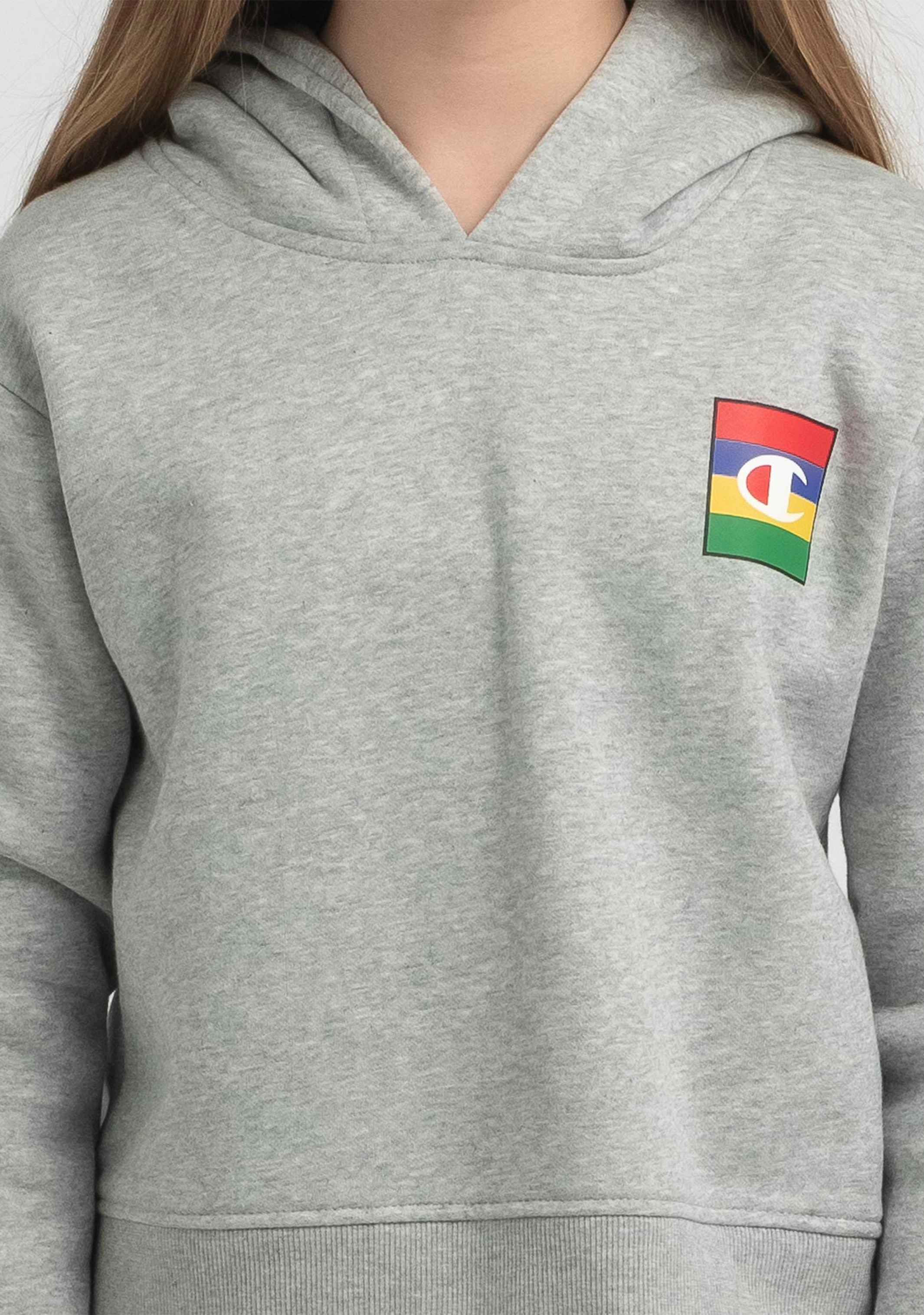Champion Kids’ SPS Graphic Crop Hoodie