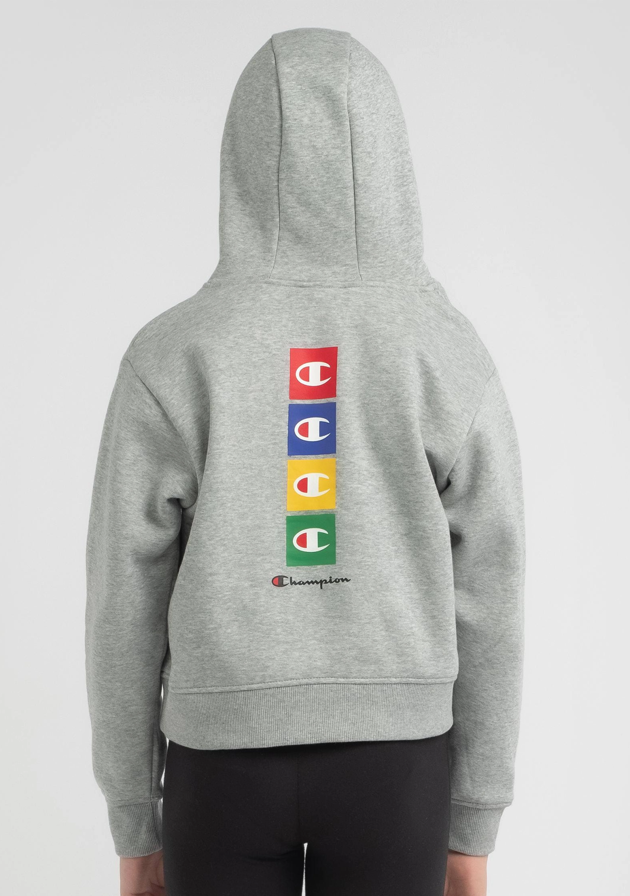 Champion Kids’ SPS Graphic Crop Hoodie