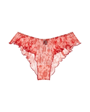 Charlotte Butterfly Brief