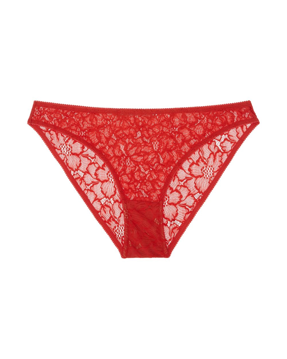 Feline Briefs