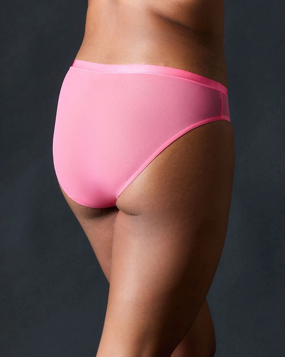 Snapshot Brief