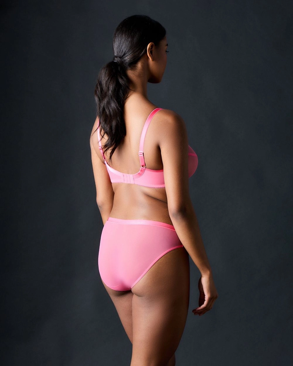 Snapshot Brief